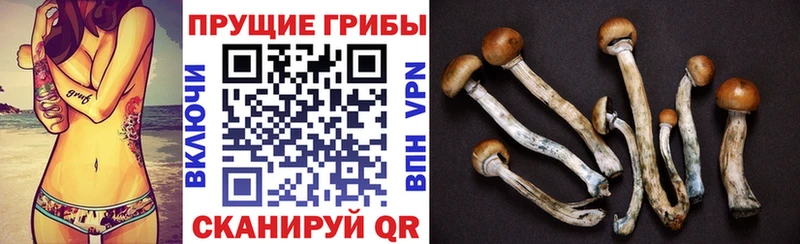 Псилоцибиновые грибы ЛСД  Рыльск 
